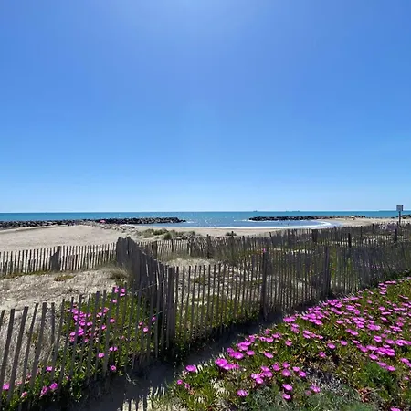 Dune And Azure Frontignan